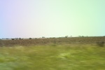 2024-06-17_21-26-55_9BBB1E3A-23E7-4B98-984D-A9647EA632C1.jpeg
