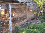 32037IMG_5724.JPG