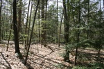 321IMG_3430.JPG