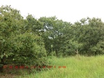 38994CIMG1503.gps.jpg