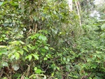 50191DSC01990.JPG