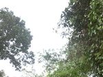 47913CIMG4250.JPG