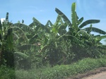 26733IMG_4132.JPG