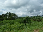20327P1020184.JPG