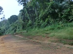 47495CIMG3832.JPG