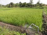 26742DSC00955.JPG