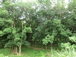 34852CIMG1523.JPG
