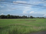 33305IMG_5641.JPG