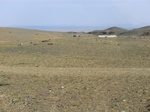 37362CIMG1164.JPG