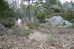 434IMG_3368.JPG