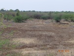 51935Tank ID 1800223 Tippapura.JPG