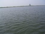 553R0015099.jpg