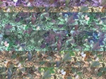 11692vp-087-Irrigated (Surface water) cotton-b.jpg