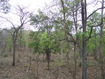 1683802052008(10).JPG