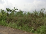 50752CIMG1381.JPG