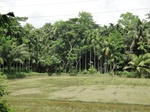 21363DSC00635.JPG
