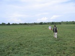 1174119-lakebed-grasses-herbs-iucnb.jpg