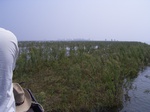 633R0015141.jpg