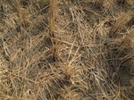 8435IMG_0260.JPG