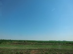 55396CIMG1984.JPG