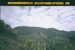 40491Anh4329.JPG
