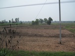 34495IMG_5478.JPG