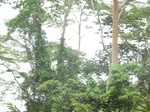 48379CIMG4716.JPG