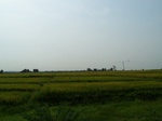17391100_2077.JPG