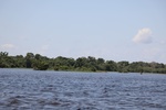 2024-08-05_17-09-28_9C6C44E6-639E-4F5D-84C4-DE7106F90FC3.jpeg