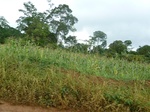 20543P1020400.JPG