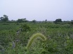 827R0015380_small.jpg