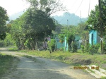 31872IMG_5411.JPG