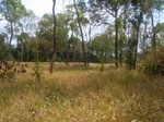 43384R0012451.JPG