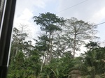49832CIMG6169.JPG