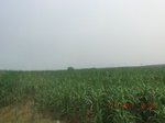 32763CIMG1895.JPG