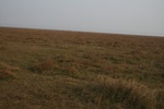 4260IMG_8899.JPG
