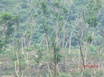53756CIMG7156.JPG