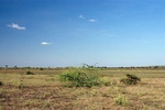 43648pic2.jpg