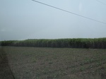 27801IMG_4665.JPG