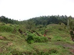 30763CIMG0603.JPG