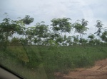 26717IMG_3559.JPG