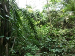 46373CIMG0662.JPG