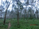 52899CIMG4989_调整大小.JPG