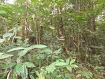 46675DSC02008.JPG