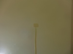 58476CIMG2926.JPG