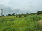 20862P1020724.JPG