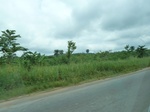 21126P1030005.JPG