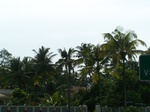 542710052008(37).JPG