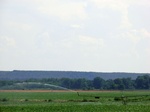 57697CIMG4290.JPG