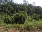 8990RIMG0066.JPG